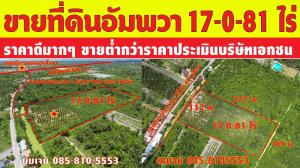 For SaleLandSamut Songkhram : Amphawa land for sale, 17 rai, very good price, selling below appraisal price, only 1 million baht per rai. Near Rama 2 Road, only 900 meters.