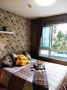 For RentCondoPinklao, Charansanitwong : Condo for rent, The Trust Pinklao, 6th floor, large room, beautiful, pool view, near Central Pinklao, MRT Bang Yi Khan and Bang Bamru.