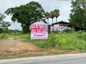 For SaleLandSukhothai : Land for sale in Sukhothai Province Next to the main Phitsanulok-Sukhothai road, Pa Faek Subdistrict, Kong Krailat District. Sukhothai Province