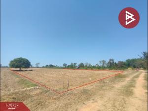 For SaleLandPhitsanulok : Empty land for sale, area 13 rai 2 ngan 72 square wah, Wat Bot, Phitsanulok.