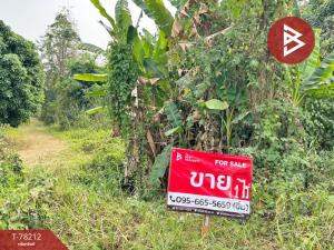 For SaleLandChiang Mai : Empty land for sale, area 1 rai, San Pa Tong, Chiang Mai.