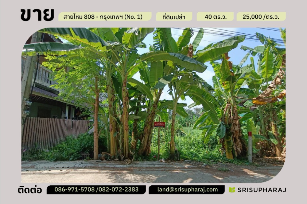 For SaleLandNawamin, Ramindra : Here it is #Small plot of land for sale “No.1” Size: 40 sq m. Suitable for #Building a residence near many amenities.