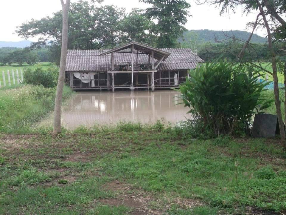 For SaleLandPhayao : The owner is selling the land in Phayao Province.