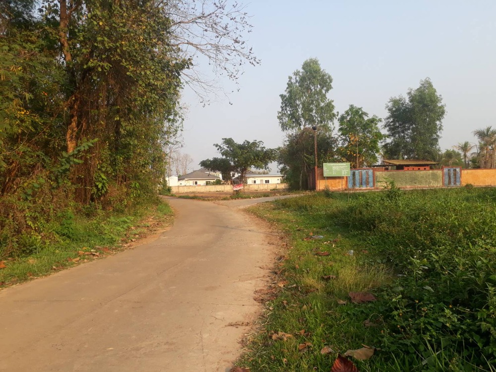 For SaleLandPhayao : The owner is selling the land in Phayao Province.