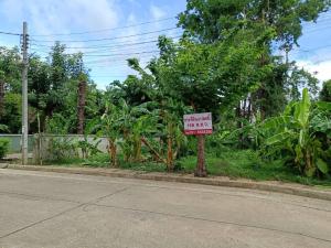 For SaleLandNonthaburi, Bang Yai, Bangbuathong : Empty land for sale with title deed in a housing development. Kanchanalak 3, area 168 square meters, 41,000 baht each.