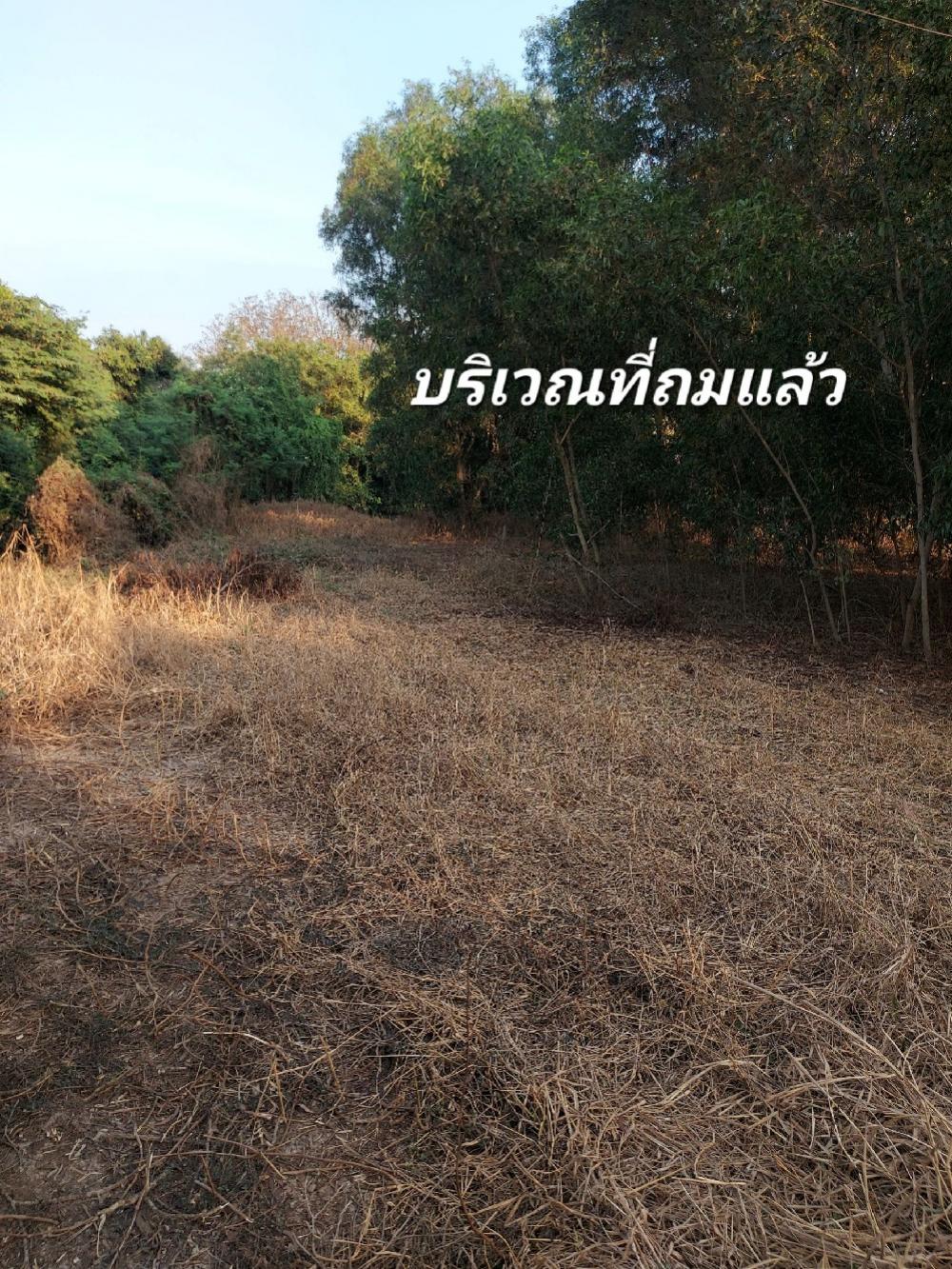 For SaleLandNakhon Pathom : Land in Nakhon Chai Si, 2-1-27 rai, near Bangkok, beautiful plot, already filled, along the road and canal. Near the Tha Chin River, convenient travel.