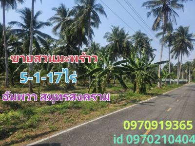 For SaleLandSamut Songkhram : Land for sale, coconut plantation, 5 rai, 1 ngan, 17 sq m, near Bang Nang Li Subdistrict Administrative Organization, Amphawa, Samut Songkhram.