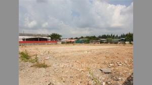 For SaleLandMin Buri, Romklao : Land for sale, 3-1-36 rai Surao Khlong Nueang Road Bangkok