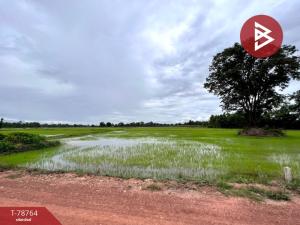 For SaleLandKamphaeng Phet : Land for sale, area 10 rai, Khlong Khlung District, Kamphaeng Phet.