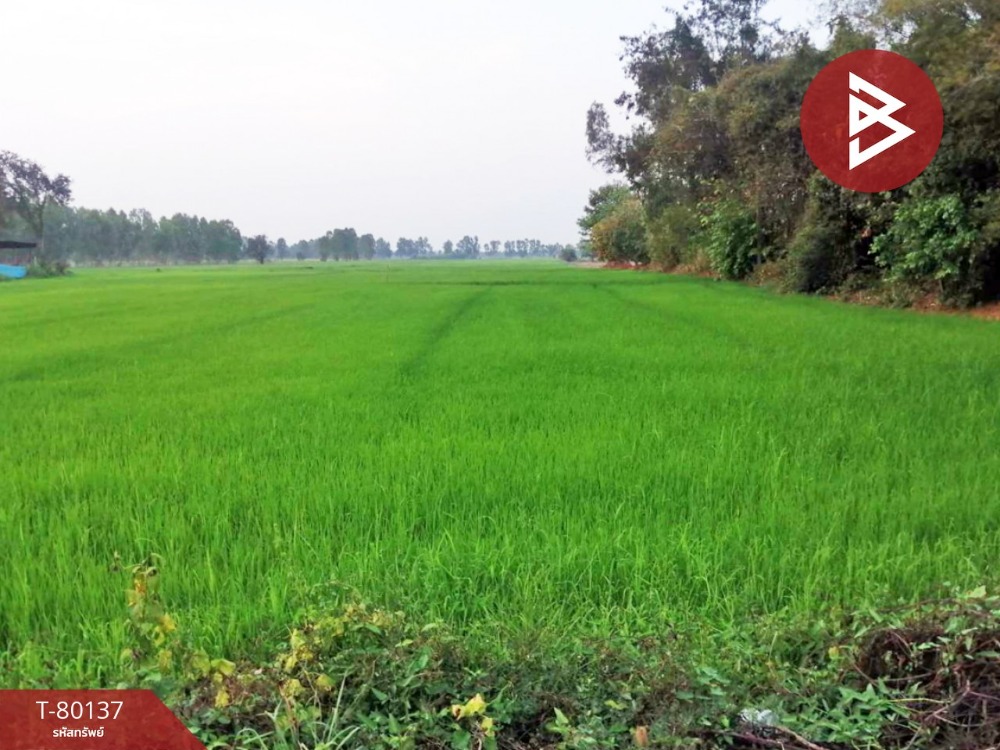 For SaleLandPhitsanulok : Land for sale, area 8 rai 2 ngan, Wat Bot, Phitsanulok.