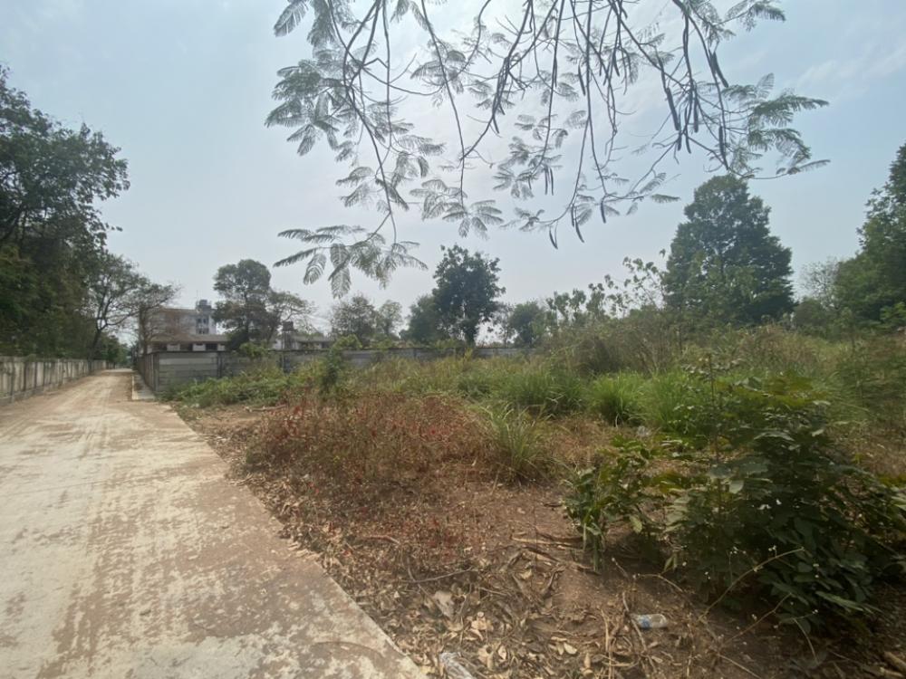 For SaleLandKhon Kaen : S1342 Beautiful plot of land for sale next to the Faculty of Law wall. Khon Kaen University Only 100 meters from the small door at the back, away from Srinakarin Hospital. Khon Kaen with roads within Khon Kaen University, only 3.5 km., no flooding, quiet,