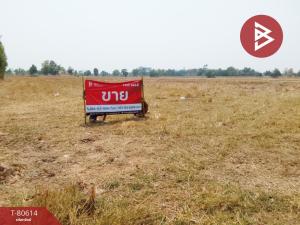 For SaleLandRoi Et : Land for sale, area 20 rai 2 ngan 17.0 square wa, Kaset Wisai, Roi Et.