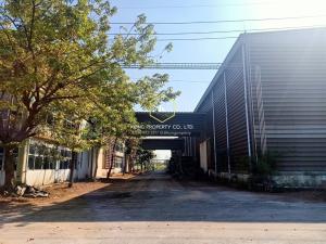 For RentFactoryMahachai Samut Sakhon : Factory for rent, Rama 2, Nadi, Mueang District, Samut Sakhon, with crane, 4-way license plate.
