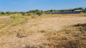 For SaleLandChaiyaphum : Empty land for sale, 8 rai, front next to the main road. Mueang Chaiyaphum District Chaiyaphum Province