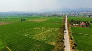 For SaleLandChiang Rai : Land for sale, rice field, next to a secondary road, Ban Pong Subdistrict, Wiang Pa Pao District, Chiang Rai Province, land near Asia Road 118, land with beautiful views, land frontage 180 meters, next to the road, near Thung Thewi Hot Springs. Its a bit 