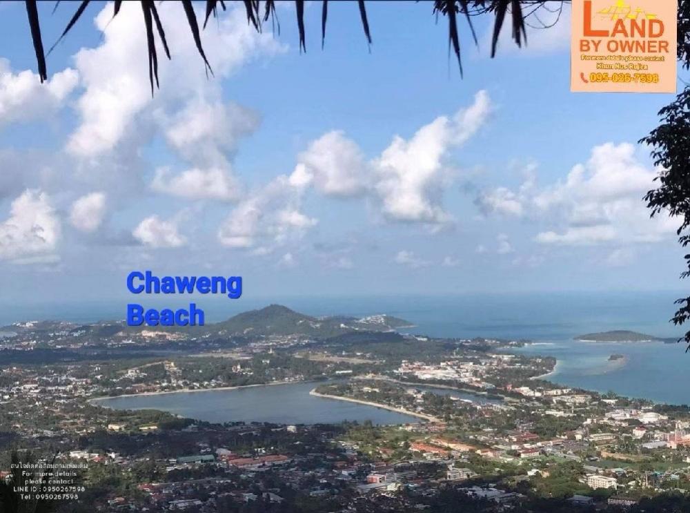 For SaleLandKoh Samui, Surat Thani : Land for sale on Chaweng Hill, Koh Samui, Surat Thani Province.   (Behind Makro) by owner