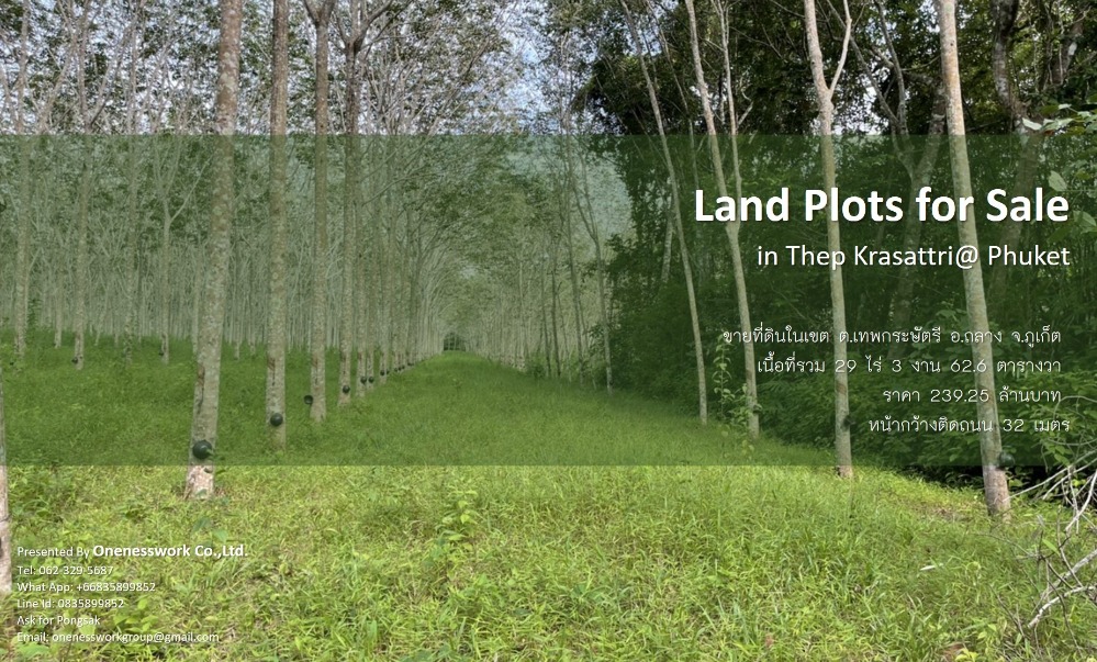 For SaleLandPhuket : Land for sale, area 29 rai 3 ngan 62.6 square wa, located in the area Thep Kasattri Subdistrict, Thalang District, Phuket Province, 9 title deed documents, green urban planning area.