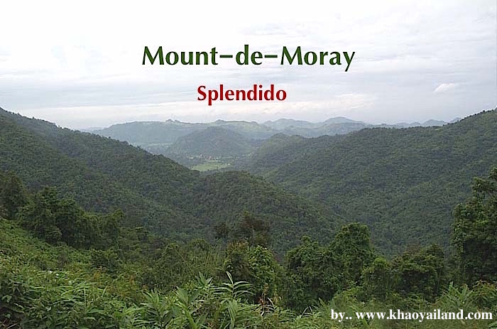 For SaleLandPak Chong KhaoYai : Mount-de-Moray Beautiful land for sale, already developed on a hill above 450 meters (sea level), only 1 plot left.
