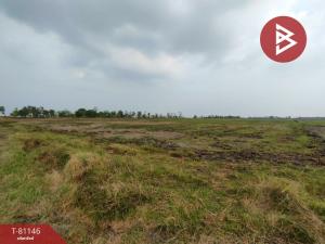 For SaleLandPrachin Buri : Empty land for sale next to the road, area 3 rai 1 ngan 62 square wah, Mai Ked, Prachinburi.