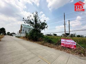 For SaleLandPathum Thani,Rangsit, Thammasat : Empty land for sale, Lam Luk Ka Khlong 4, Soi Sawai Pracharat 35, code L8012.