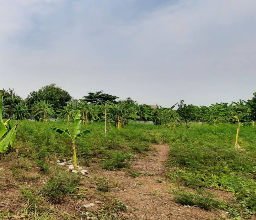 For SaleLandSeri Thai, Ramkhamhaeng Nida : Land for sale, already filled in, next to a canal, 4 rai, beautiful rectangular plot, suitable for a hotel, apartment, resort, office, beautiful view, very good location, convenient travel.