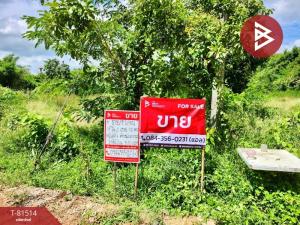 For SaleLandPhetchabun : Empty land for sale, area 19 rai 2 ngan 52 square wah, Wichian Buri, Phetchabun.