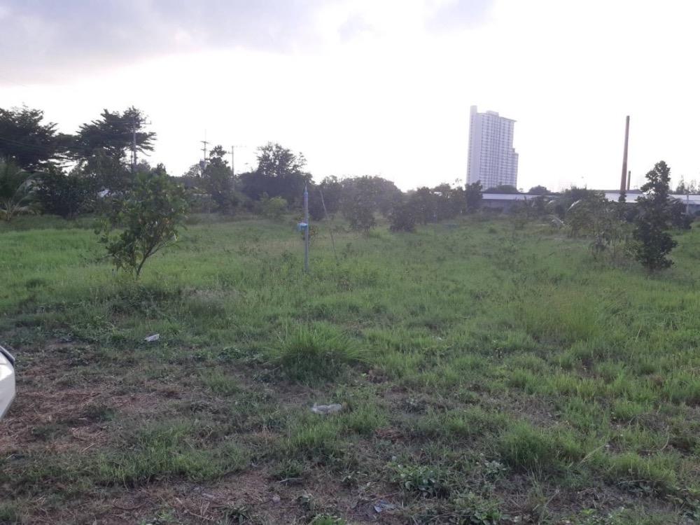For SaleLandPattaya, Bangsaen, Chonburi : Empty land next to the road on 3 sides.