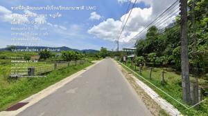 For SaleLandPhuket : Land for sale next to the road to UWC International School, Thepkasattri Subdistrict, Thalang District, Phuket Province, area 7 rai 3 ngan 9.2 square wah.