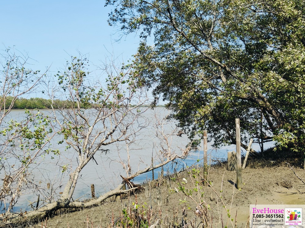 For SaleLandChachoengsao : Land for sale in Bang Pakong Next to Bang Pakong River, Chachoengsao Province The front is on Bangna-Trad Road. (Buraphawithi Expressway) 15.5 rai for sale 12 mb/rai
