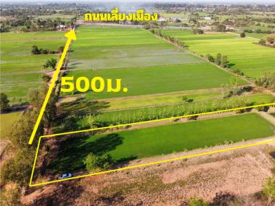 For SaleLandKhon Kaen : Land for sale in Khon Kaen Near the bypass road, Bueng Niam Subdistrict, Mueang District.