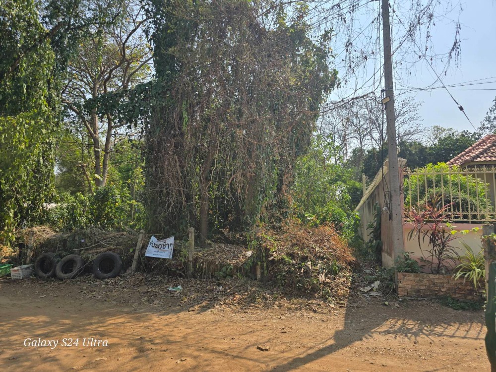 For SaleLandChiang Mai : Land for sale behind Chiang Mai University, Suthep Subdistrict, Chiang Mai Province, area 113 square wah, very good location, suitable for building a house, dormitory, restaurant.
