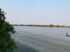 For RentLandRama3 (Riverside),Satupadit : Land facing to the Chao Phraya River