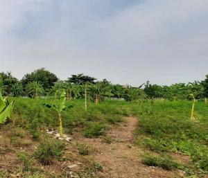 For SaleLandSeri Thai, Ramkhamhaeng Nida : Land for sale already filled in Next to Saen Saep Canal, 4 rai, beautiful rectangular plot, suitable for a hotel, apartment, resort, office, beautiful view, very good location, convenient travel.