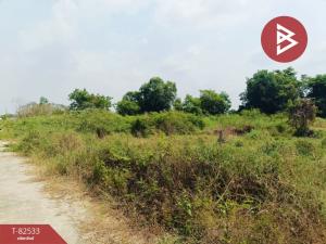 For SaleLandPathum Thani,Rangsit, Thammasat : Urgent sale of land, area 1 rai, Lam Luk Ka, Pathum Thani.