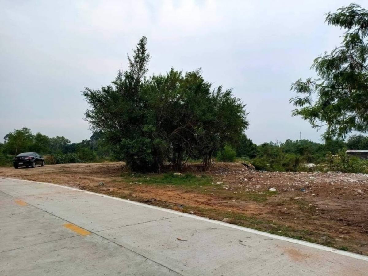 ขายที่ดินพัทยา บางแสน ชลบุรี สัตหีบ : Land for sale in Huay-Yai Pattaya/ ที่ดินห้วยใหญ่ใกล้มอเตอร์เวย์จอมเทียน 3-1-54ไร่