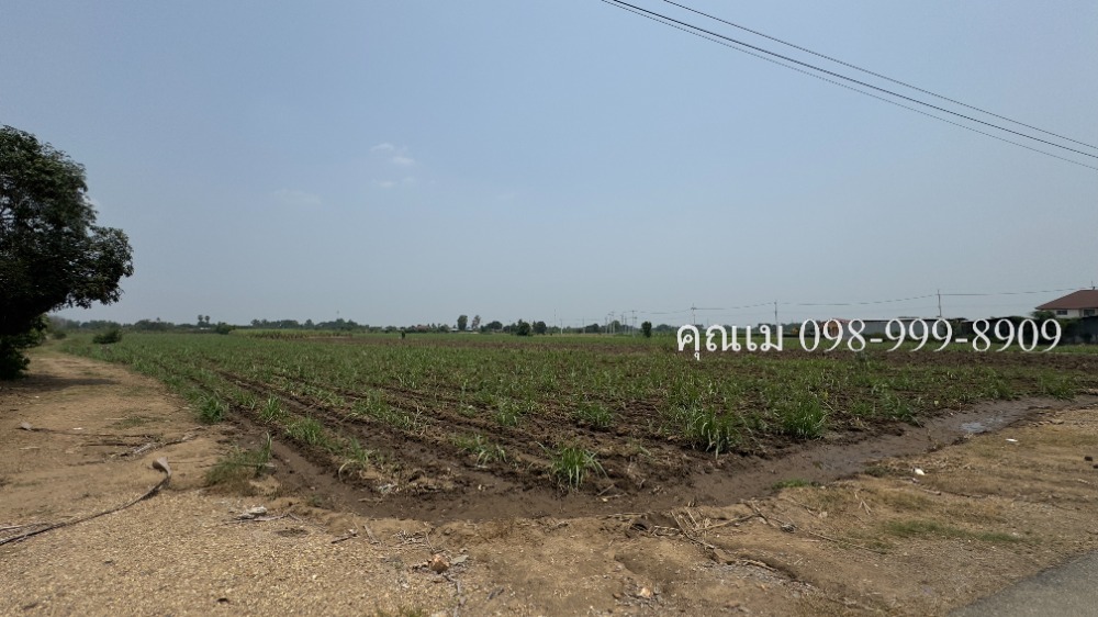 For SaleLandNakhon Pathom : Empty land for sale next to the road, very good price, Thung Krapang Hom Subdistrict, Kamphaeng Saen District, Nakhon Pathom Province.
