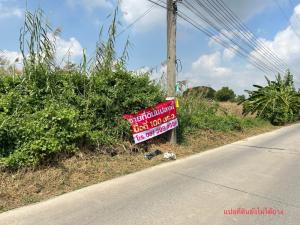 For SaleLandPathum Thani,Rangsit, Thammasat : Urgent sale! Pratunam Phra In land 1.49 million-1 ngan (the owner is in a hurry to sell it himself)