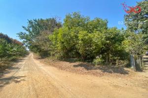 For SaleLandKanchanaburi : Land for sale with fruit orchard, rubber plantation, area 60 rai 268 square wah, Sahakon Nikhom, Thong Pha Phum District, Kanchanaburi.