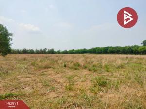 For SaleLandPrachin Buri : Land for sale, area 10 rai, Si Maha Phot, Prachinburi.