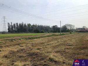 For SaleLandPhitsanulok : Large plot of land for sale, 14 rai, 2 ngan, 29 sq m, Bang Rakam District, next to the road.