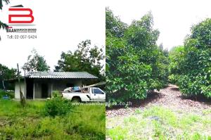 For SaleLandChanthaburi : Fruit orchard land with house, Khao Kaeo Subdistrict, area 11-0-58 rai, Road No. 4013, Tha Mai District, Chanthaburi Province.