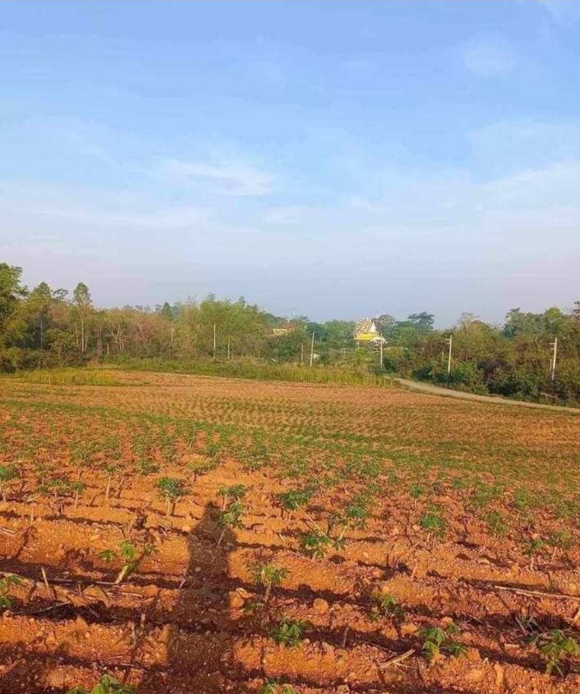 For SaleLandPak Chong KhaoYai : Beautiful plot of land for sale, good view, 21 rai 1 ngan 10 square wah.