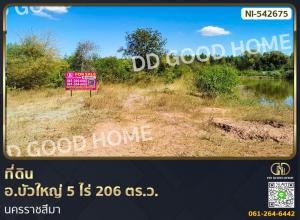 For SaleLandKorat Nakhon Ratchasima : 📢Land for sale Bua Yai District, 5 rai 206 sq w, Nakhon Ratchasima.