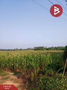 For SaleLandUttaradit : Empty land for sale, area 4 rai 1 ngan 64 sq m, Laplae, Uttaradit.