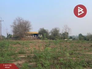 For SaleLandLoei : Empty land for sale, area 3 rai 2 ngan 55.0 sq m, Tha Li, Loei.