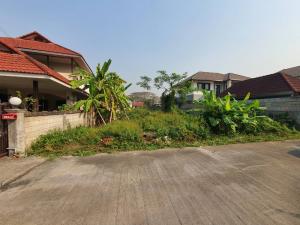 For SaleLandChiang Mai : Empty land for sale 100 sq m. San Sai Luang