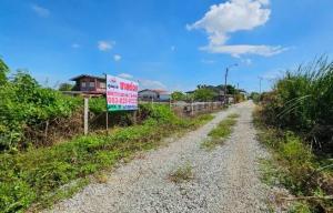 For SaleLandSamut Prakan,Samrong : Land for sale already filled Cheaper than market price, Soi Phuttharaksa, Bang Bo, Samut Prakan, area 292 square wah l width 31.33 meters l depth 40.66 meters