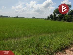 For SaleLandKamphaeng Phet : Empty land for sale, area 207 rai 3 ngan 89 square wah, Phran Kratai, Kamphaeng Phet.