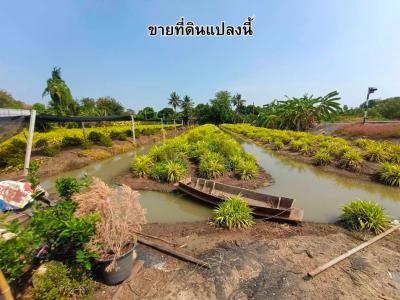 For SaleLandNonthaburi, Bang Yai, Bangbuathong : Land for sale 3 rai 3 ngan 92 square wah, Soi Santitham 2, Bang Yai, Nonthaburi.