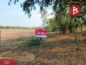 For SaleLandKhon Kaen : Land for sale, area 63 square wah, Ban Phai, Khon Kaen
